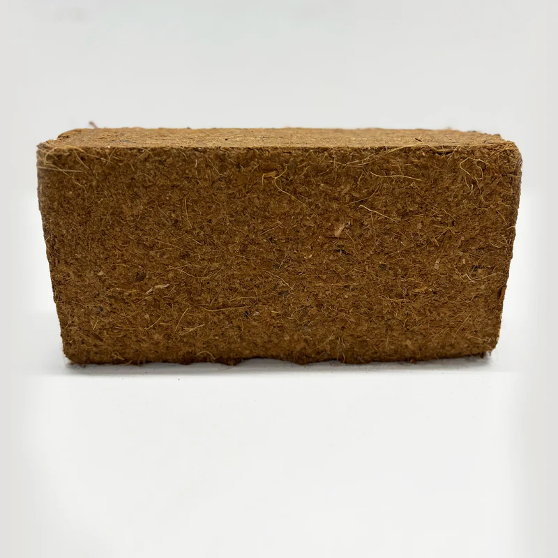 650g Brick